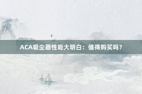 ACA吸尘器性能大明白：值得购买吗？