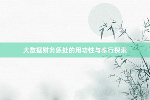 大数据财务惩处的用功性与奉行探索