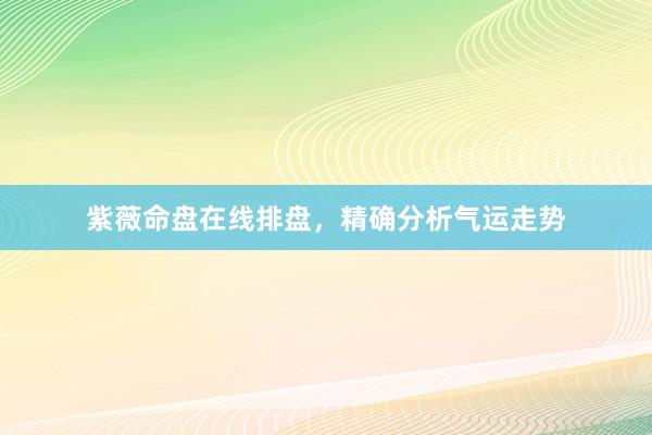 紫薇命盘在线排盘，精确分析气运走势